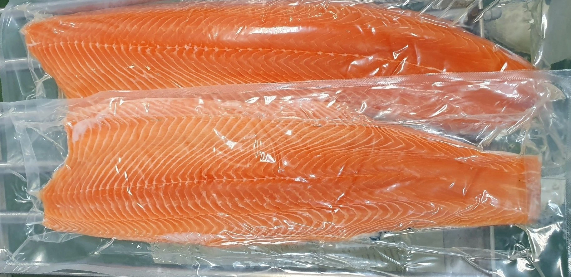 Wild Salmon